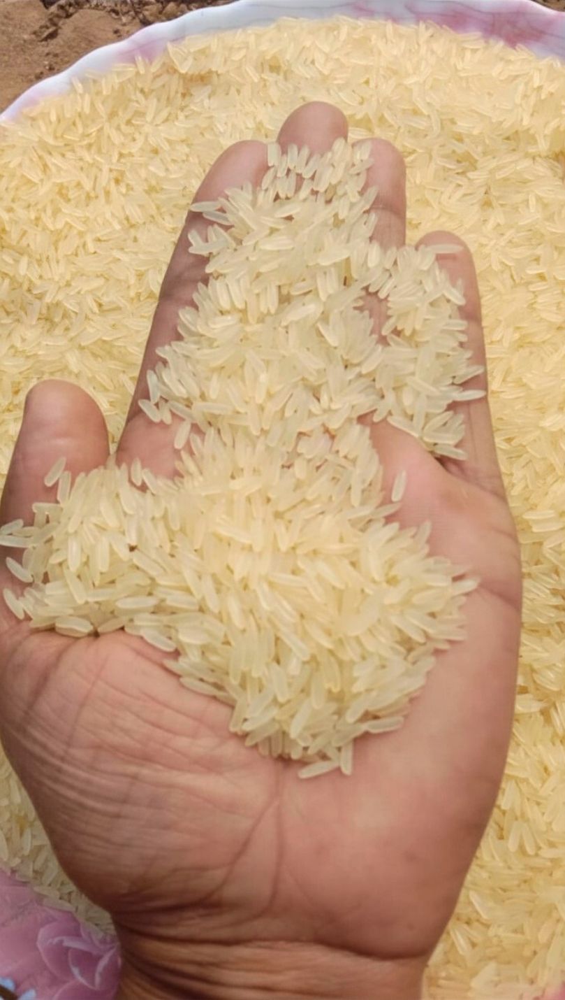 Milled Rice